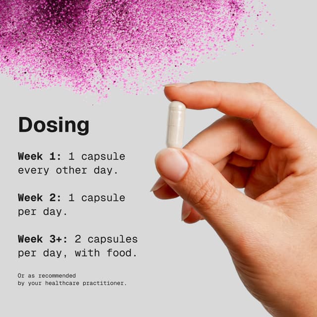 MegaSporeBiotic™ 60 capsules（Old/New Packaging Shipped Randomly）